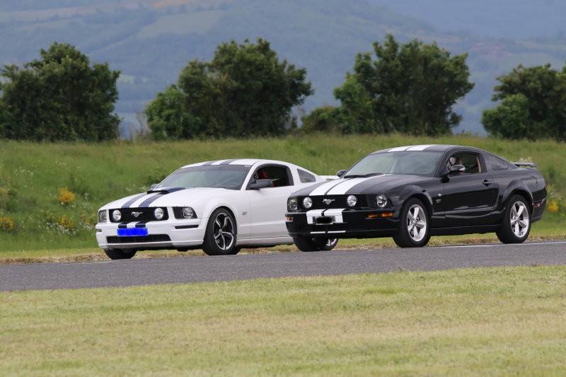 Duel de Mustang